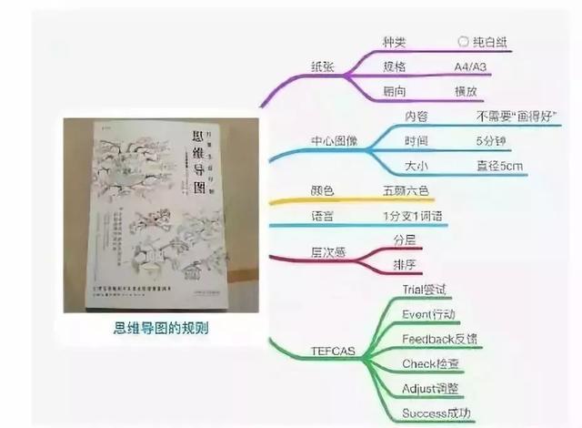 怎么画思维导图，思维导图怎么画（一个简单高效的干货技能）