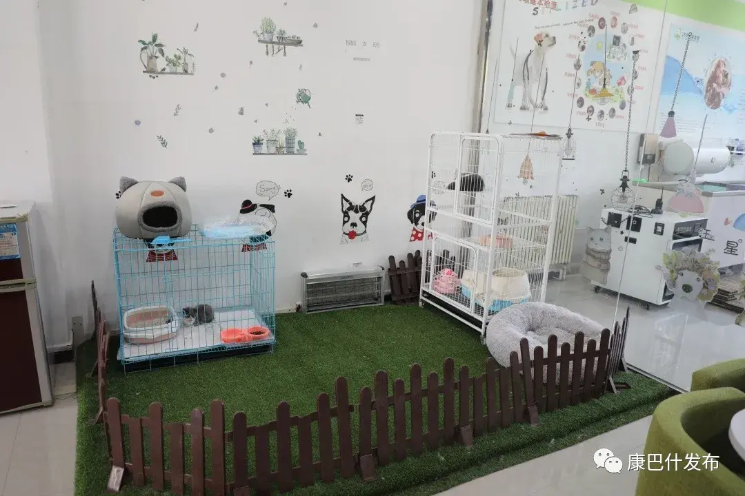 圣宠宠物店(附近哪有宠物市场)