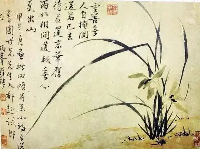 梅兰竹菊四君子，四君子梅兰竹菊的象征意义（梅兰竹菊  四君子）