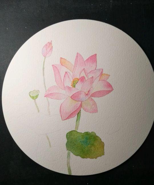 荷叶怎么画漂亮又简单，怎么简单画荷花荷叶（画荷花原来很简单）