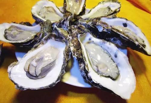 蒸生蚝要不要把壳撬开，蒸生蚝要开壳吗（蒸生蚝要开壳吗）