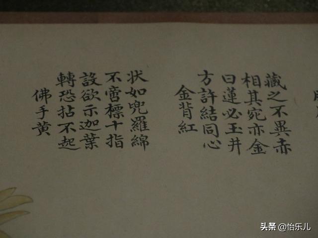 葩的读音（葩怎么读，葩是什么意思（金佛座、搓粉妆、绶带紫、鹤头丹）