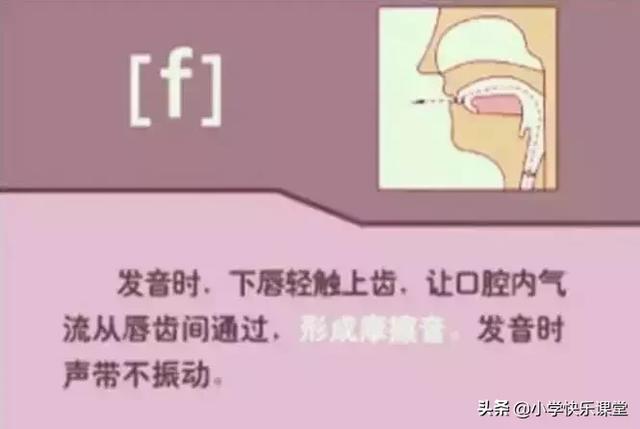 音标读音表发音教学，音素表怎么写（48个国际英语音标发音表及口型）