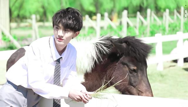 马嘉祺的粉丝名，马嘉祺粉丝名（天生爱豆马嘉祺：他是新晋流量）