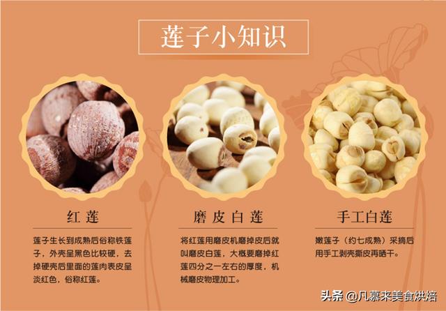坚果有哪些，坚果有哪些食物（25种坚果大全你都认识吗）