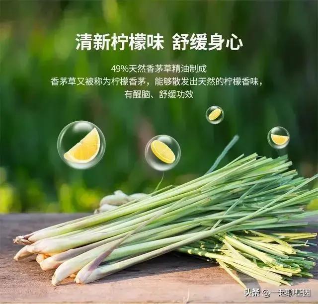 点蚊香多久可以杀死蚊子，蚊香多久能把蚊子熏死（只需5分钟蚊子消失殆尽）