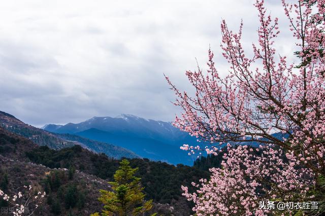 踏春是几月，什么时节踏春（古代的踏青是几月）