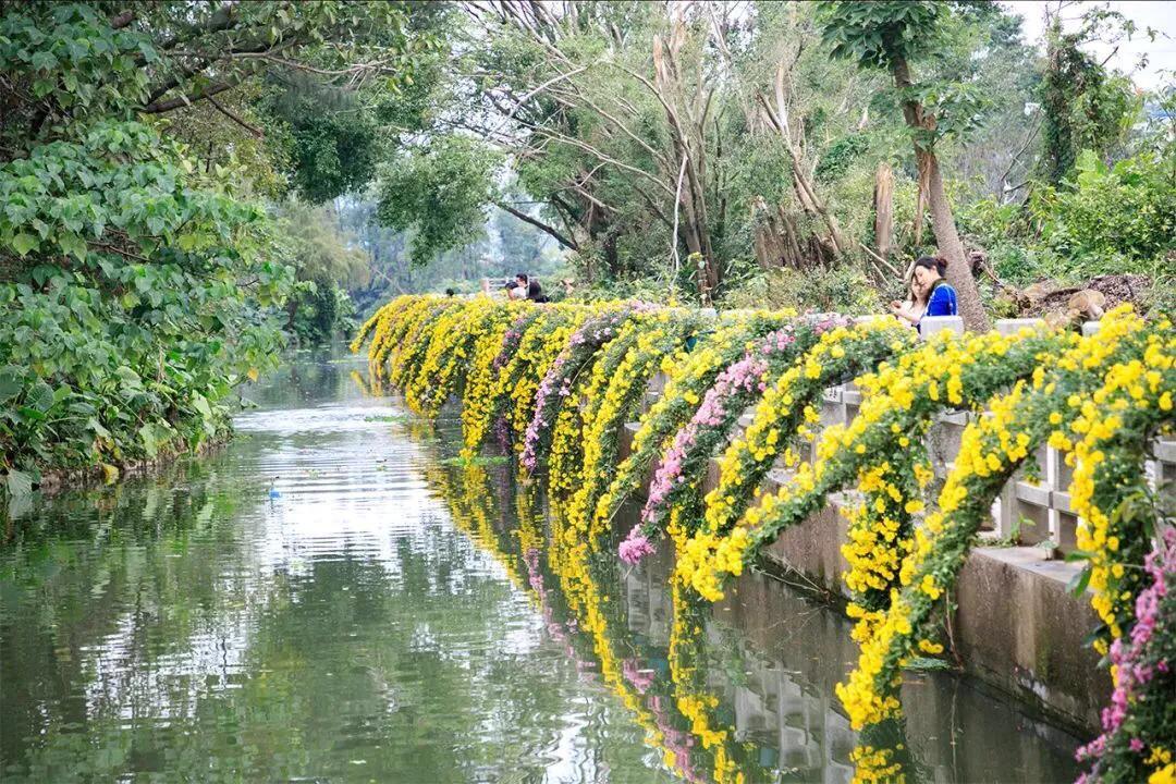 深圳石岩休闲会所（深圳十大免费特色的湖泊公园）