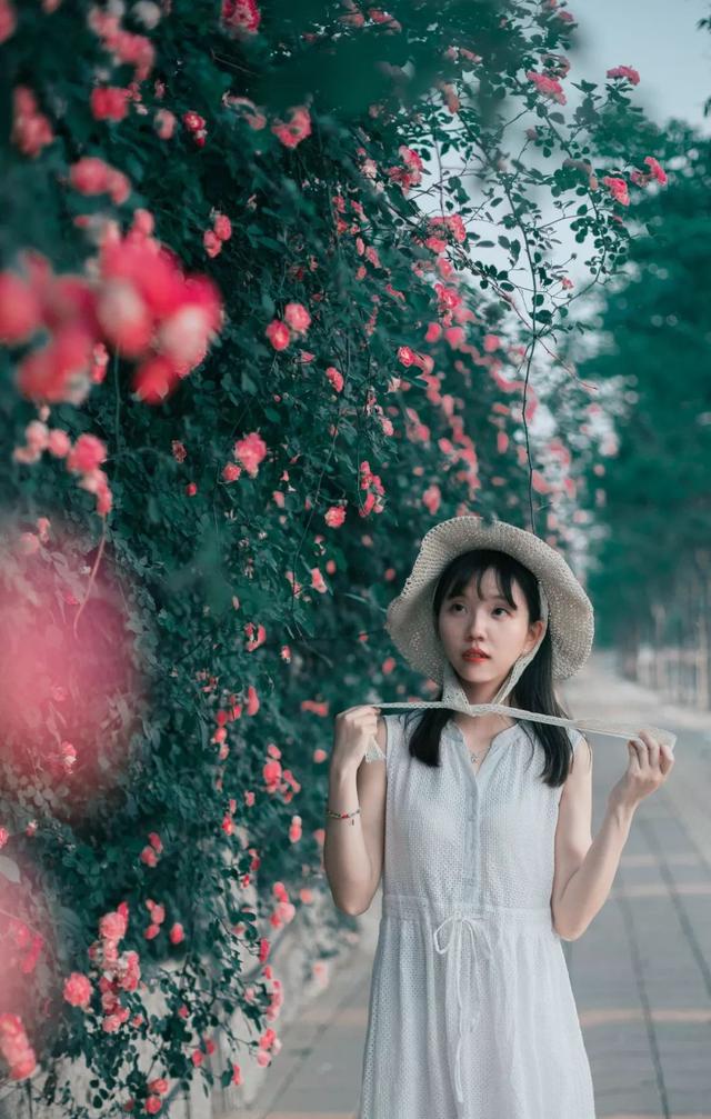 玛米亚奥特曼在线观看，玛米亚（都是因为热爱丨探图摄影师专访）