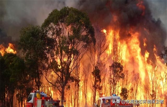 澳大利亚大火怎么引起的，如何看待澳大利亚大火事件（澳大利亚弗雷泽岛又发生了森林大火）