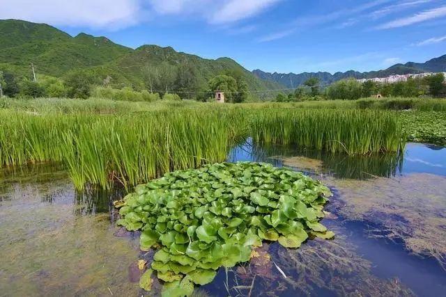 门头沟旅游景点大全排名，门头沟旅游景点大全排名 自驾（门头沟6个静美的好地方）