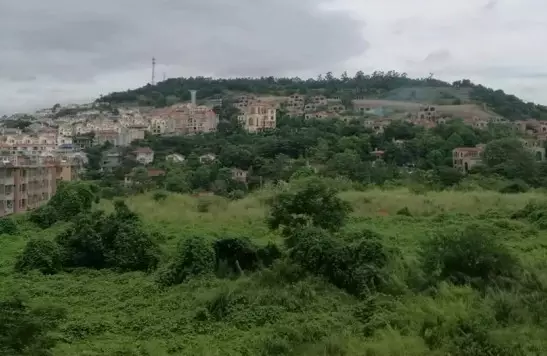 湛江的生蚝能运到东北吗，广东湛江生蚝的物流过程（，不通地铁的仙葫被抛弃了）
