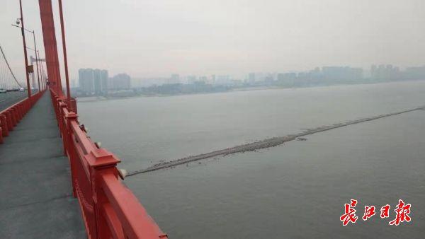 武汉鹦鹉洲长江大桥，武汉鹦鹉洲大桥晃动怎么回事（长江江面上突现一条“石子路”）