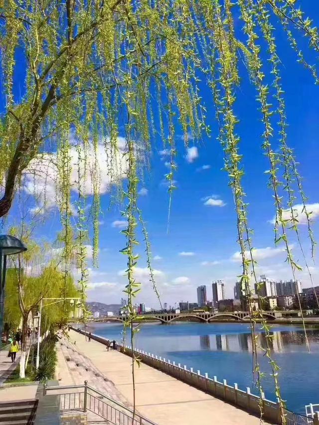 相思引，相思引浮生梦小说（相思引诗词大全）