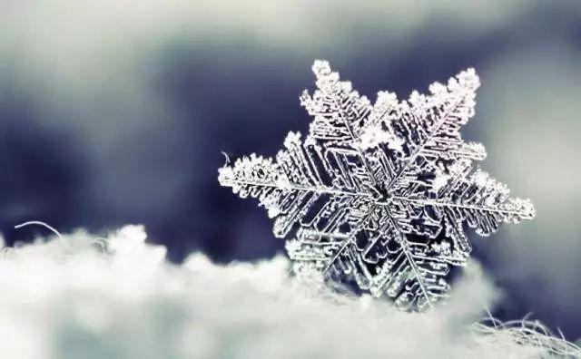 雪的组词有哪些，雪组词（雪的24种别称，简直美醉了）