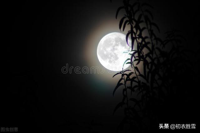 形容夏天热的诗句，形容夏天热的经典诗句（夏夜古诗七首：热极不可度）