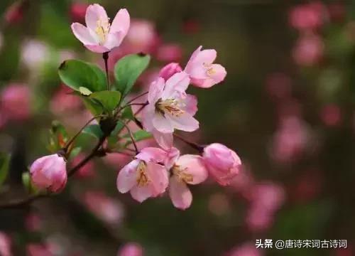 杜牧最有名的十首诗，杜牧最好听的十首诗（首首都有千古名句,你都读过么）