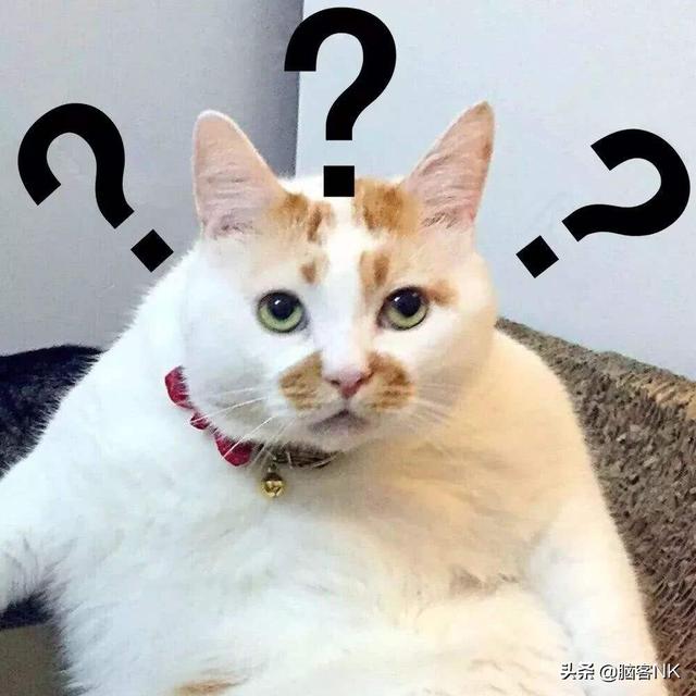 圆周率前一百位，圆周率前100位是什么（从记圆周率后100位看——如何培养超强记忆力）