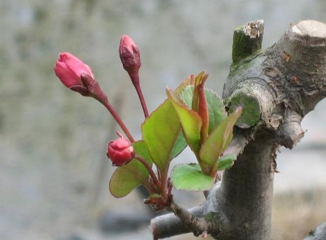 咸鱼翻身的意思，咸鱼翻身是什么意思（“宅子现四喜）