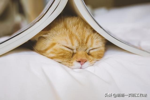 高情商的人怎么解决背锅，在职场总是背锅怎么办（工作中为别人背锅了）