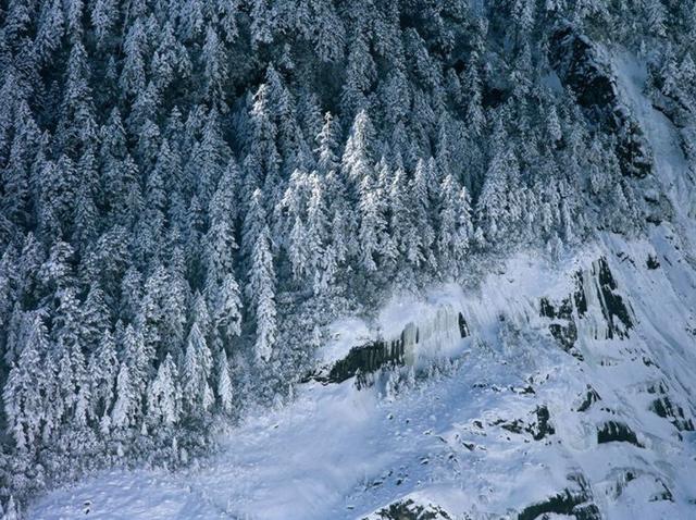 松的诗句，梅的诗句有哪些（待到雪化时—那些关于松与雪的诗词）