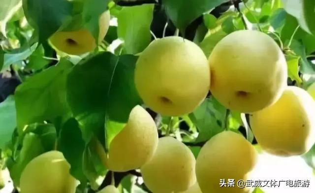 0935是哪的区号,095是哪个地方的区号(这是我2019年最新简历) 0935是哪的区号,095是哪个地方的区号(这是我2019年最新简历)