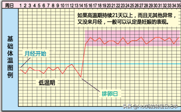 产科建大卡一般是几个月，如何知道我是不是怀孕了