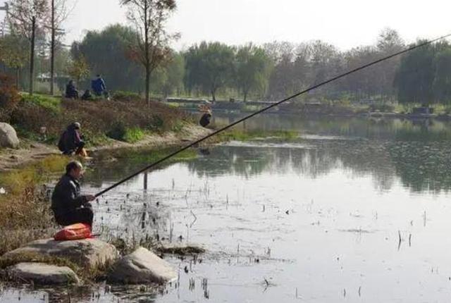 初冬钓鲫鱼方法，冬季鲫鱼钓法（冬天越冷，鱼就越不好钓）