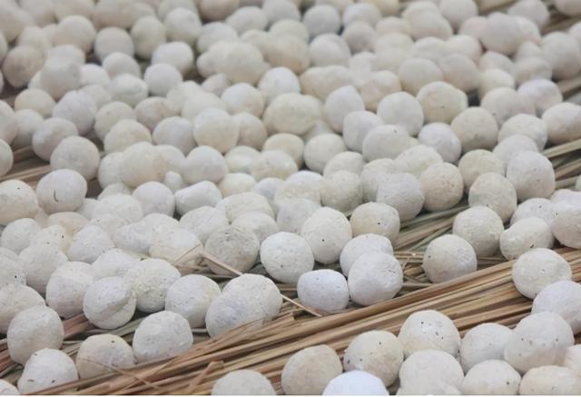 秦椒是什么样的，秦椒是什么辣椒（它叫“辣椒草”）