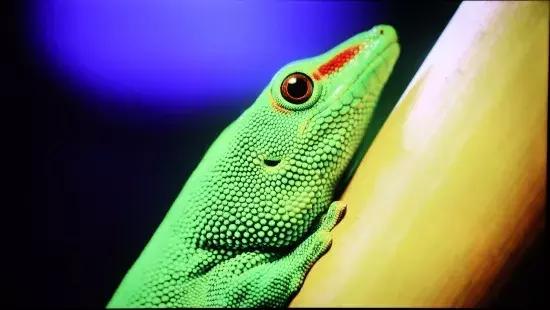 康佳液晶电视机，康佳液晶电视机怎么样（HDR²画质）