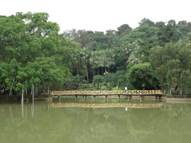 如何评价松下的GX9，松下gx9和gx10（让所见即所得：松下LUMIX）