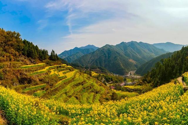 开化县属于哪个市，开化市有哪些镇（18万亩油菜花不逊色于婺源）
