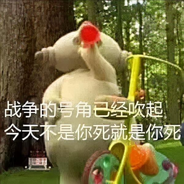 timi是什么意思，“卷