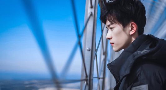 政协委员中为什么有那么多的明星，为什么明星都是政协委员（被央视点名表扬的6位明星）