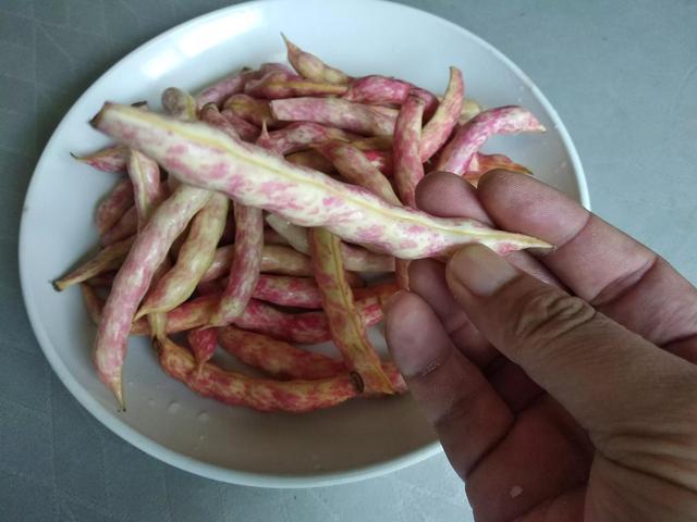 今日黄豆价格多少钱一吨，今日油价：国际原油又涨（农村老话“白露谷）