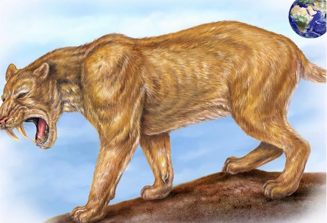 史前动物大揭秘,大揭秘:史前动物你知道多少(生活在500万年前的猛兽)