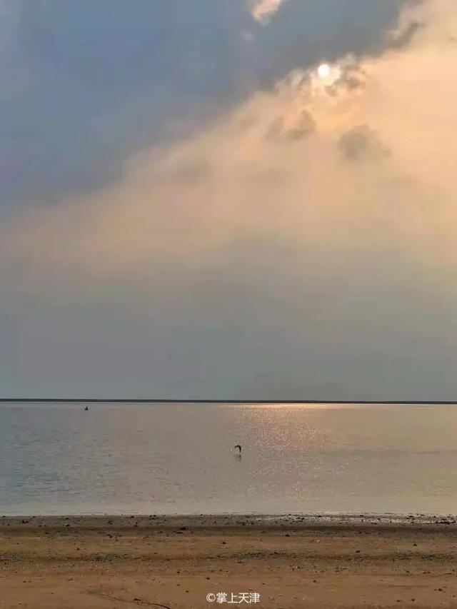 天津海边旅游景点排行榜，天津塘沽旅游景点大全（天津7处小众看海点，景色绝了）