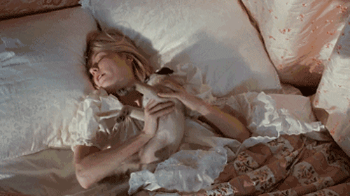 酒店的床垫为什么那么舒服，酒店的床垫为什么睡得舒服（为什么睡五星级酒店比在家睡舒服）