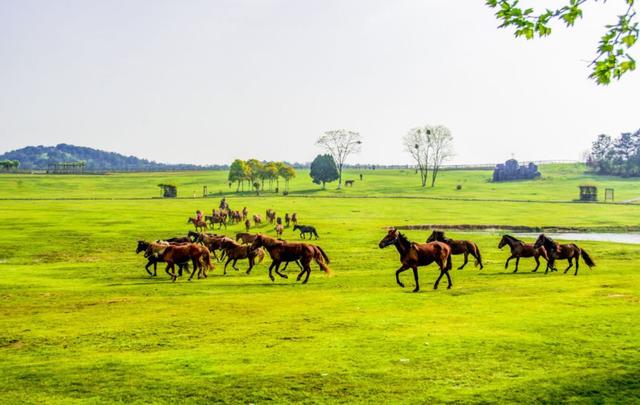 武汉的旅游景点，武汉值得去的景点（让你领略当地独特的风情与魅力）