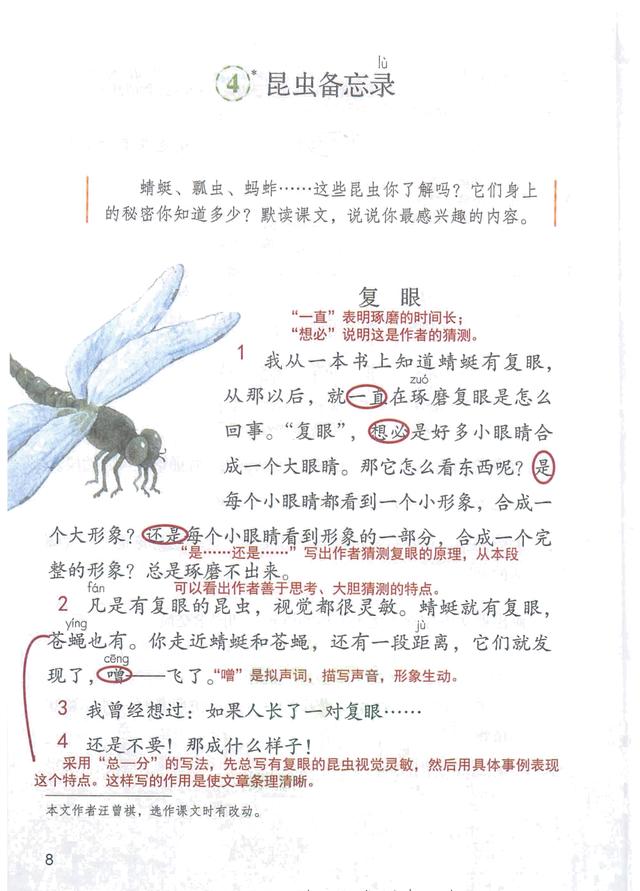独角仙的特点是什么，独角仙的特点是什么什么,分别用了什么什么什么的方法（三年级语文下《第一单元课堂笔记》三个版本）