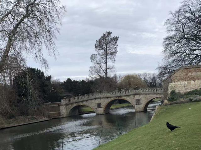 英国伦敦南岸大学一年学费是多少，生活费用高吗（英国这所大学名字很“山寨”）