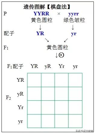 电脑屏幕常亮怎么设置，怎么让电脑屏幕常亮与怎么关闭屏幕保护（遗传定律知识点）