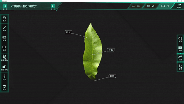 花是植物的什么器官，花是一些植物的什么器官（花是植物的什么器官）