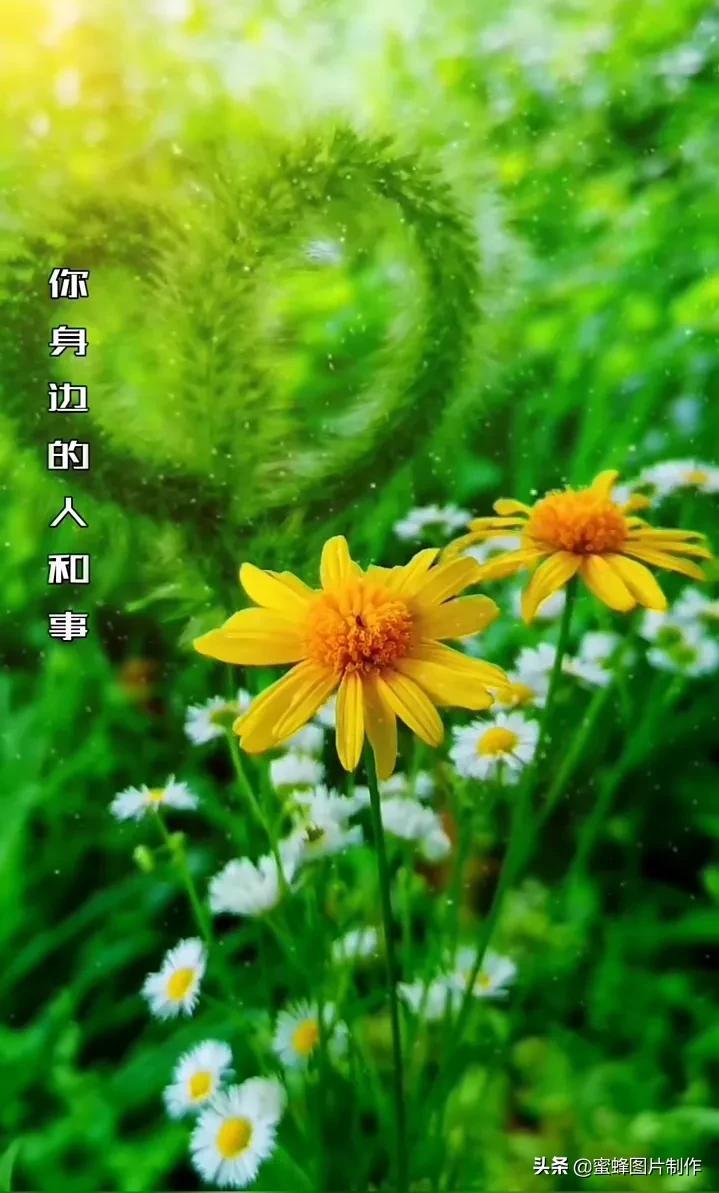 清新图片背景(背景图片简约清新可爱)