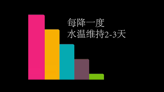 龙鱼炸鳞还有救么，看得起鸡皮疙瘩——松鳞病这么可怕