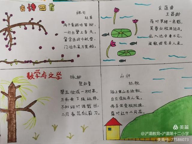 如何制作出一副更好的数学画报，制作一张数学画报（四年级数学实践活动——《数学与文学》手抄报）