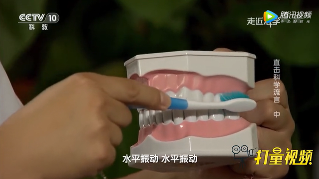 儿童换牙顺序图，大牙可以换吗儿童换牙顺序图（爸妈一定要知道<建议收藏>）