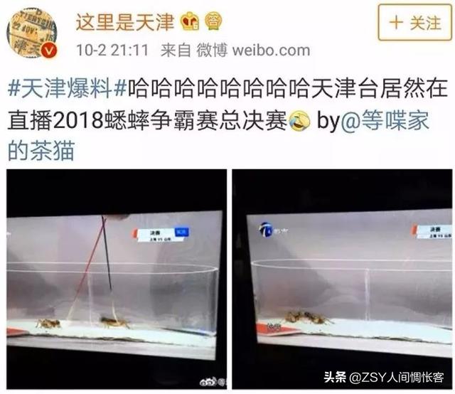 哏都是哪个城市，哏都（别名“哏都”真不是白叫的）