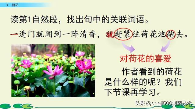 莲蓬的蓬是不是读轻声，莲蓬的蓬为什么读轻声（部编版语文三年级下册第3课《荷花》图文讲解）