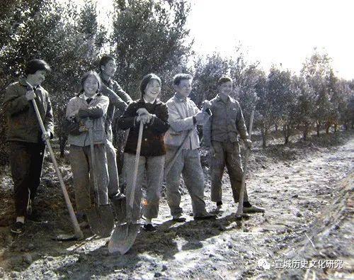 绩溪中学（1977）